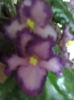 Imagine4502_2