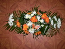 100 lei