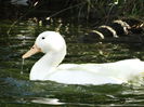 DSC02180