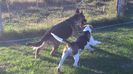 IMG-20140929-WA0054