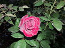 20140922_190142[1]