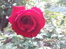 20140927_113507[1]