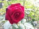 20140927_113555[1]