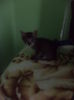 DSC03236