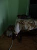 DSC03238