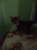 DSC03239