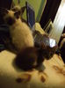 DSC03251