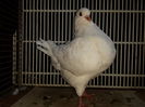 20140930_175320