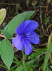 DSC07949