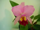 DSCN4709_005