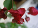 P9150039