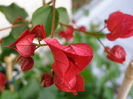 P9180048