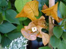 P9180066