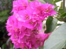 P9200101