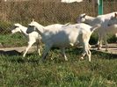 IMG_1569