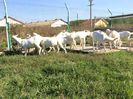 IMG_1571