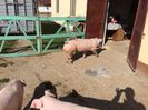 IMG_1629