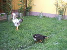 DSCF7308
