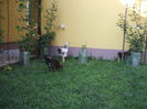 DSCF7327