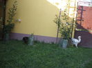 DSCF7329