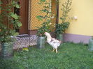 DSCF7342