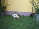 DSCF7351