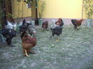 DSCF8417