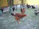 DSCF8426