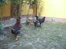 DSCF8480