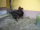 DSCF8495