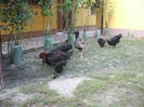 DSCF8513