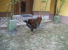 DSCF8544
