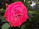 20141001_181248[1]