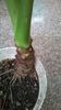 WP_20141002_17_01_33_Pro