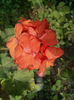 IMG_20141002_152600