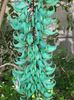 Strongylodon-macrobotrys-Jade-Vine11-768x1024