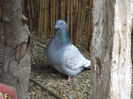 DSC00190