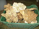 DSC00331