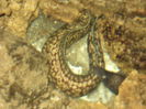 DSC00359