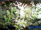 paludariu1 (1)