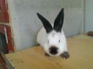 CAMPIONIIIIIIIIIIIIIII