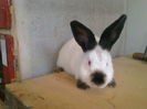 CAMPIONIIIIIIIIIIIII