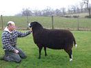 Oaie Zwartbles campioana