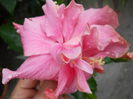 DSCN7127