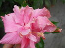 DSCN7128