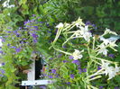 DSCN7129