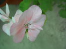 DSCN7141