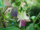 DSCN7144