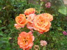 DSCN7150