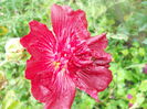 DSCN7164